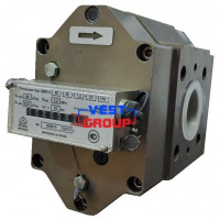 GMS G40 DN40 У2 Газовый счетчик роторный Арсенал